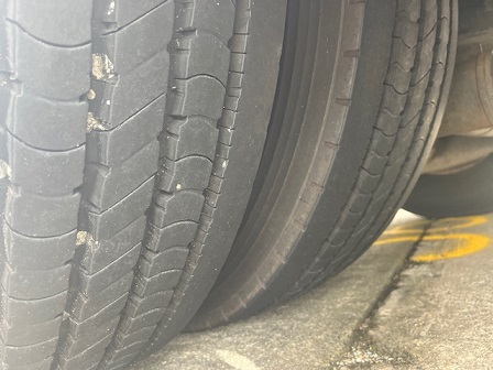 bcsa australasia gallery 17