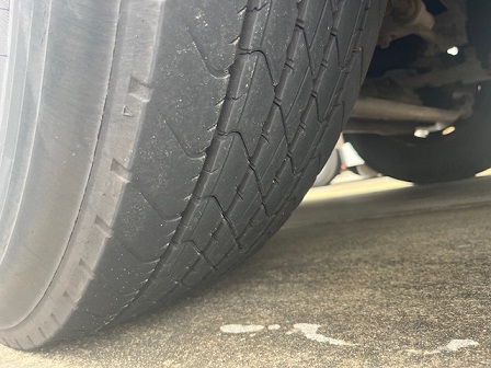 bcsa australasia gallery 17