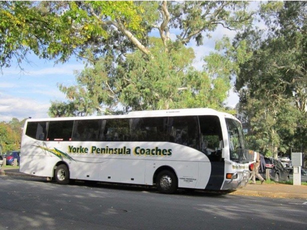 bcsa australasia