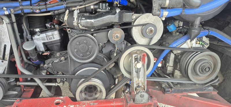 bcsa australasia gallery 17