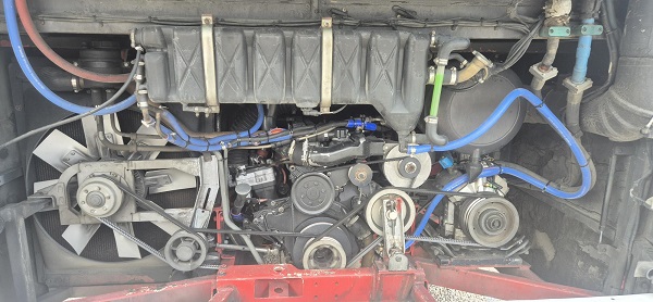 bcsa australasia gallery 17