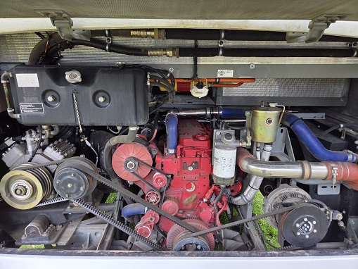 bcsa australasia gallery 8