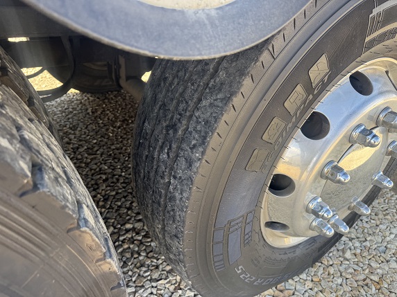 bcsa australasia gallery 20