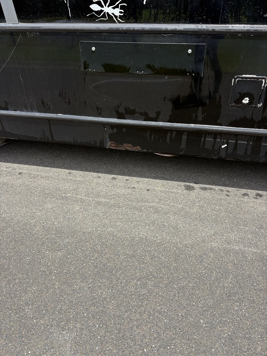 bcsa australasia gallery 17