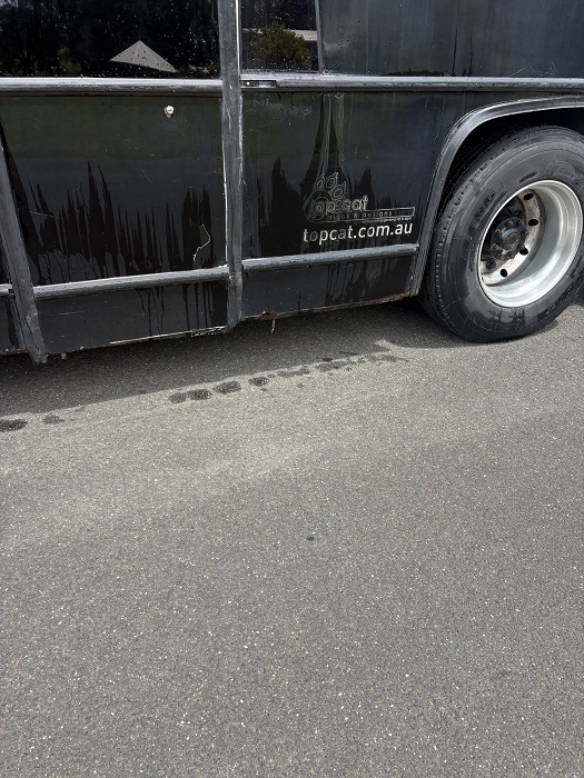 bcsa australasia gallery 17