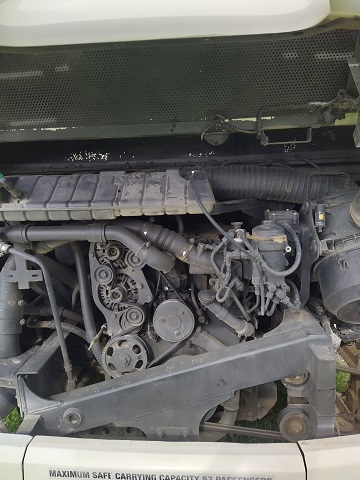 bcsa australasia gallery 12