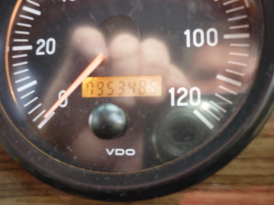 bcsa australasia gallery 6