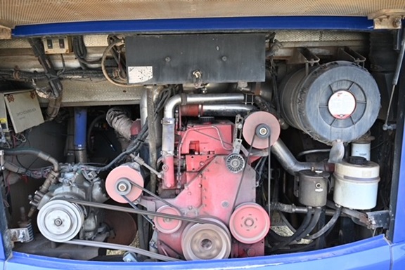 bcsa australasia gallery 19