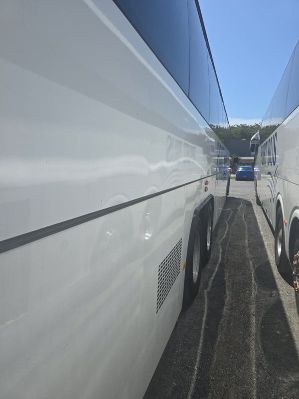 bcsa australasia gallery 7