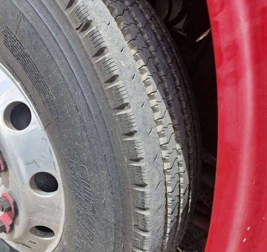 bcsa australasia gallery 12