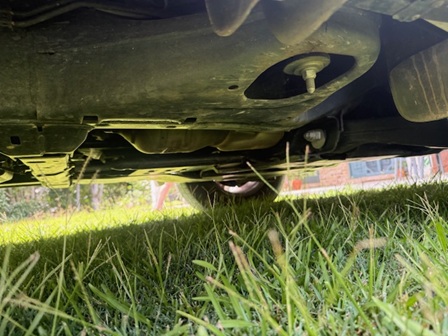 bcsa australasia gallery 18