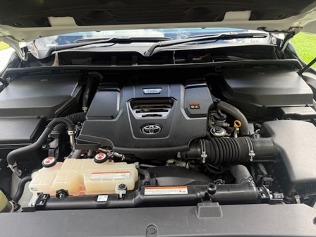 bcsa australasia gallery 18