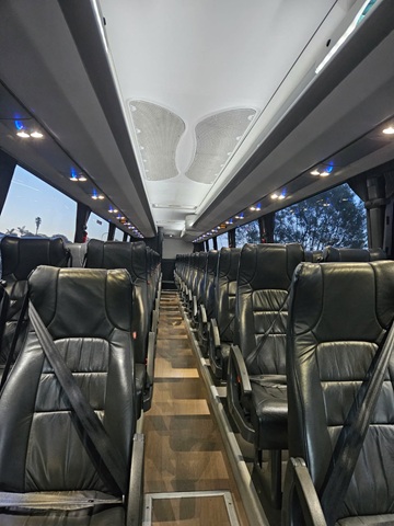 bcsa australasia gallery 17