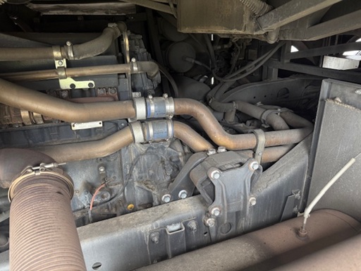 bcsa australasia gallery 24