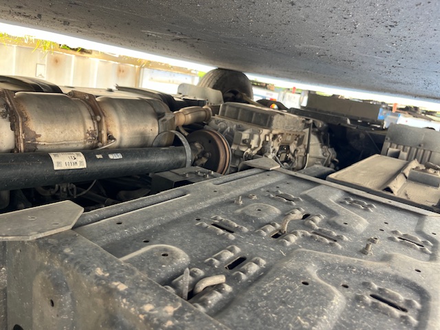 bcsa australasia gallery 15