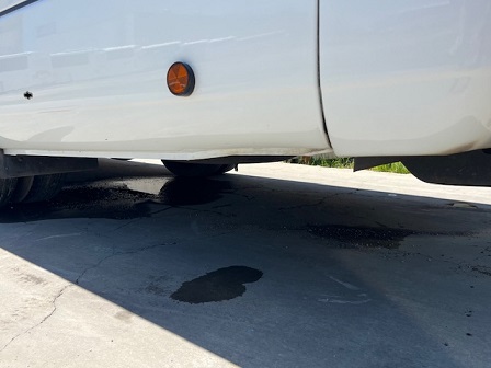 bcsa australasia gallery 15